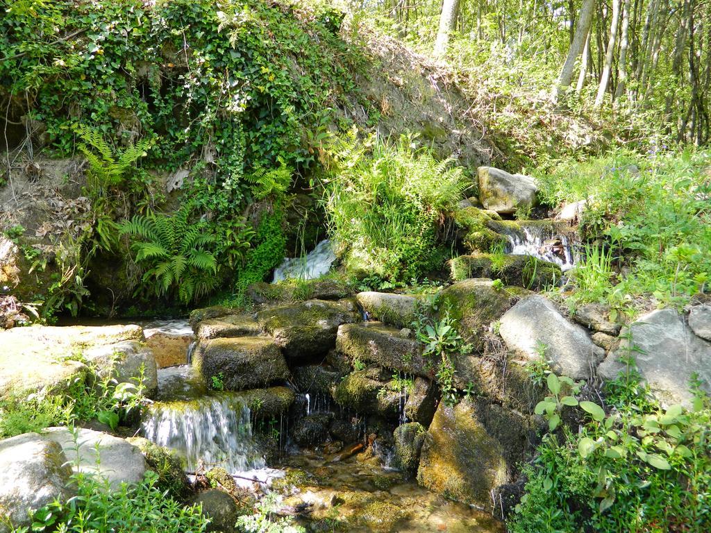 Quinta Lamosa Agroturismo Arcos de Valdevez Εξωτερικό φωτογραφία